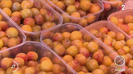 Agriculture : une année compliquée pour les mirabelles