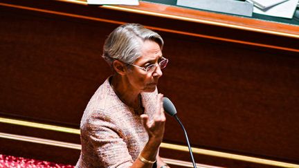 L'Assemblée nationale a rejeté l'idée d'une taxe sur les superprofits samedi 23 juillet. (ADRIEN FILLON / HANS LUCAS)