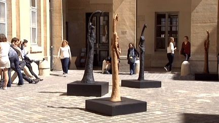 Les femmes animales de Sophie Verger dans la Cour d'honneur de la Sorbonne.
 (France 3)