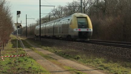 Au niveau national, on dénombre sur les rails 1900 collisions avec la faune sauvage et 25OO heures de retard pour les passagers (France 3 Bourgogne)