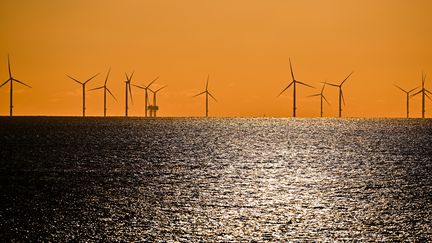 Des éoliennes du parc éolien offshore en mer de Saint Nazaire, au large du Pouliguen, en Loire-Atlantique, le 19 janvier 2024. (FRANCK DUBRAY / MAXPPP)