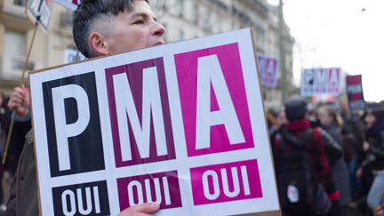 &nbsp; (Manifestation pour la PMA et le droit à l'adoption en octobre 2013 © MAXPPP)