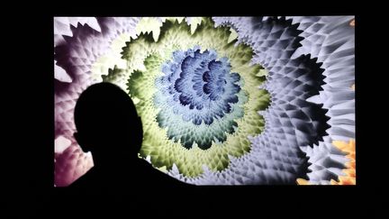 Un homme observe une&nbsp;œuvre numérique NFT le 25 mars 2021 à New York, à la galerie Superchief dédiée aux NFT. (JASON SZENES / EPA / MAXPPP)