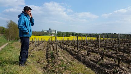 Jonathan Pabiot, viticulteur à Pouilly-sur-Loire, pourrait perdre 60% de sa récolte, pour la deuxième année consécutive; à cause du gel. (THIBAULT LEFEVRE / RADIOFRANCE)