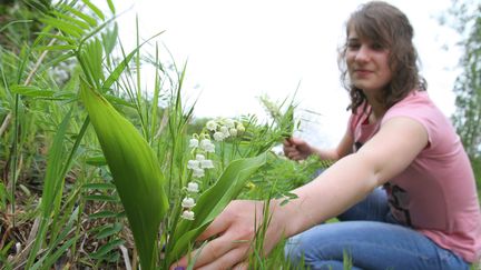 &nbsp; (Brin de Muguet, symbole du 1er mai © Maxppp)