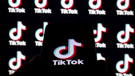 Illustration du logo de TikTok. (UTKU UCRAK / ANADOLU / AFP)