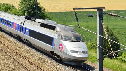 Un TGV Paris-Nice a rat&eacute; un arr&ecirc;t, le 7 novembre 2013 dans le Var.&nbsp; (LIONEL LOURDEL / PHOTONONSTOP / AFP)