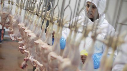 Un employ&eacute; de l'abattoir Laguillaumie, &agrave; Appoigny (Yonne), surveille la cha&icirc;ne des volailles tu&eacute;es, le 15 avril 2010. (JOBARD / SIPA)