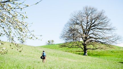 Un homme marche dans un champ, en Haute-Garonne, le 9 avril 2020. (LILIAN CAZABET / HANS LUCAS / AFP)