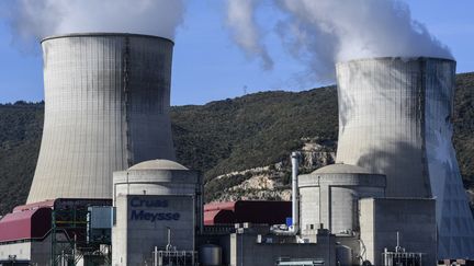 La centrale nucléaire de Cruas-Meysse, au bord du Rhône, en Ardèche. (PHILIPPE DESMAZES / AFP)