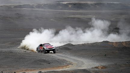 Le Français Cyril Despres (Peugeot) en pleine zone désertique. (FRANCK FIFE / AFP)