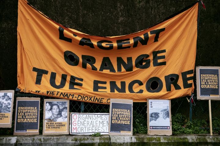 Manifestation en soutien à Tran To Nga et aux victimes vietnamiennes de l'agent orange, le 30 janvier 2021, à Paris. (NOEMIE COISSAC / HANS LUCAS / AFP)