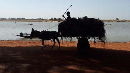 Après le bombardement du 3 janvier 2021 au Mali, Omar Ouahmane,&nbsp;grand reporter de la rédaction internationale de Radio France, est allé sur place pour comprendre et interroger les témoins.&nbsp; (OMAR OUAHMANE / RADIO FRANCE)