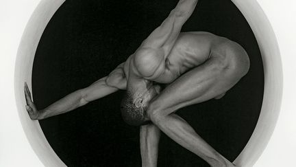 &nbsp; (Robert Mapplethorpe Thomas, 1987. Gelatin silver print, 18 7/8 × 18 7/8 inches (47.9 × 47.9 cm), A.P. 1/2. Solomon R. Guggenheim Museum, New York, G)