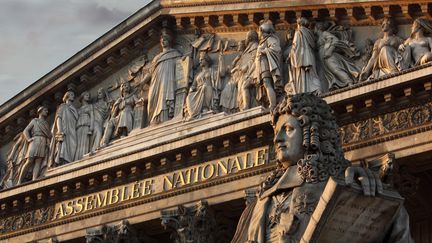 L'Assembl&eacute;e nationale a adopt&eacute;, le 16 mai 2013, une proposition de loi du Front de gauche supprimant le mot "race" de la l&eacute;gislation fran&ccedil;aise. (MANUEL COHEN / AFP)