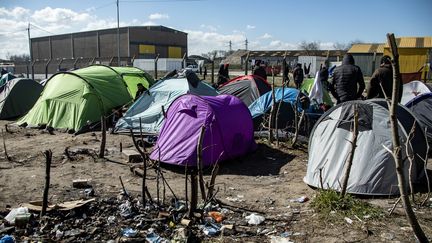 Des tentes de migrants dans un camp à Calais le 31 mars 2020. (SEBASTIEN COURDJI / EPA)