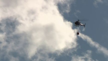 Attisé par le vent, le feu a rapidement parcouru 400 hectares de végétation. L'incendie a été maitrisé. (France 2)