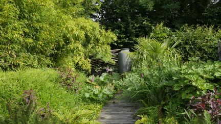 La jungle normande, un des douze jardins du Domaine Albizia, en Normandie. (ISABELLE MORAND / RADIO FRANCE / FRANCE INFO)