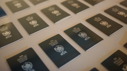 Les passeports de l'Etat virtuel du NSK
 (Jure Makovic/AFP)