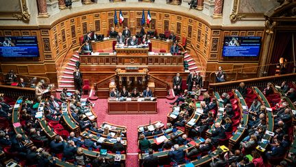 Une séance publique des questions au gouvernement se tient dans l'hémicycle du Sénat, à Paris, le 8 novembre 2023.
​ (XOSE BOUZAS / HANS LUCAS / AFP)