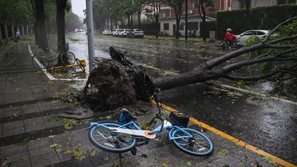 Le typhon Bebinca a causé des dégâts à Shanghai après son passage, le 16 septembre 2024. (HECTOR RETAMAL / AFP)