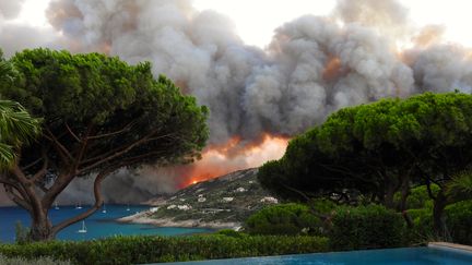 Un incendie fait rage sur Ramatuelle (Var), le 24 juillet 2017, détruisant 3 000 hectares de végétations.&nbsp; (CITIZENSIDE/DIMITRI AUGENBLICK /)