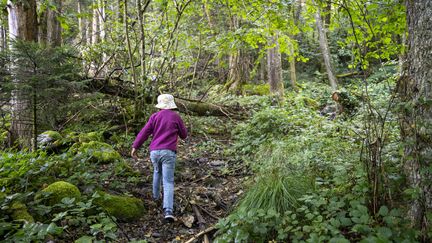 Une enfant se balade dans la forêt, à Saint-Alban-d'Hurtières (Savoie), le 26 août 2023. (ANTOINE BOUREAU / HANS LUCAS / AFP)