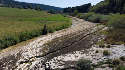 Le lit de la rivière Doubs, asséché, entre Pontarlier et Morteau, le 12 août 2018. (FABRICE COFFRINI / AFP)