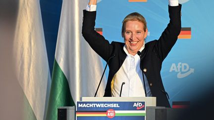 Alice Weidel, co-leader du parti d'extrême droite "Alternative pour l'Allemagne" (AfD), à Dresde le 29 août 2024. (RALF HIRSCHBERGER / AFP)