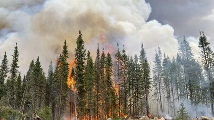 Un feu de forêt à Lebel-sur-Quévillon, au Québec (Canada), le 23 juin 2023. (FREDERIC CHOUINARD / ANADOLU AGENCY / AFP)