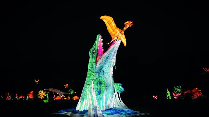 Exposition "Jurassique en voie d’illumination" au Jardin des Plantes à Paris : le ptérosaure (MELODY POIRIER)