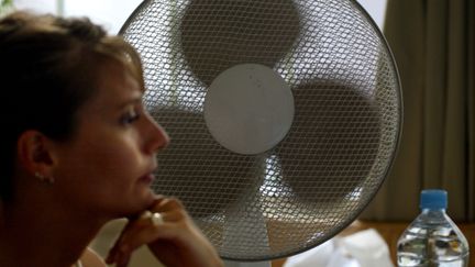 Alors que la canicule s'abat à nouveau sur la France la semaine du 24 juin 2019, les ventilateurs sont de sortie chez les particuliers pour faire face à la vague de chaleur.&nbsp; (JEAN-PIERRE MULLER / AFP)