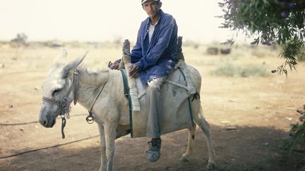 Ce photographe israélien né en 1974, prix Découvertes 2012 de PhotoEspaña, propose une vision personnelle et symbolique de la réalité de son pays. Dans la tradition juive orthodoxe, le Messie est annoncé voyageant sur un âne blanc. Alors que Yaakov Israel travaillait près de la mer Morte, il a rencontré un homme palestinien monté sur un âne blanc. Il l’a photographié et s’est dit qu’il avait rencontré son Messie. Il a alors entamé un voyage métaphorique à travers son pays (Yaakov Israel exposera ce projet à Paris dans le cadre de Photoquai à partir du 17 septembre)
Ici, L'homme sur un âne blanc. HaBiqah, 2006 Courtesy of the artist
 (Yaakov Israel)