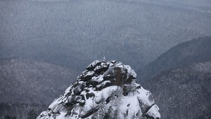 L'alpiniste russe Vladimir Gunko se tient au sommet d'un rocher du parc national de Stolby (Russie) pendant le relais de la flamme olympique Sochi 2014, le 26 novembre 2013. (ILYA NAYMUSHIN / REUTERS)