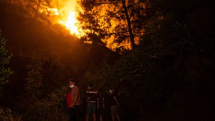 Des&nbsp;habitants regardent la progression des flammes&nbsp;dans&nbsp;la zone rurale de Marmaris, dans le district de Mugla (Turquie), le 1er août 2021. (YASIN AKGUL / AFP)