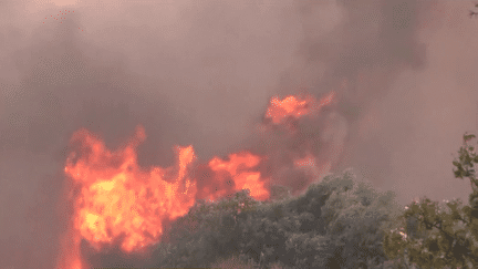 Grèce : de violents incendies ravagent le pays (France info)