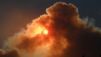 Le soleil est recouvert par la fumée de l'incendie "Creek", à Sylmar, au nord de Los Angeles, au matin du 5 décembre 2017, deuxième jour de la vague d'incendies qui touche la région. (GENE BLEVINS / REUTERS)