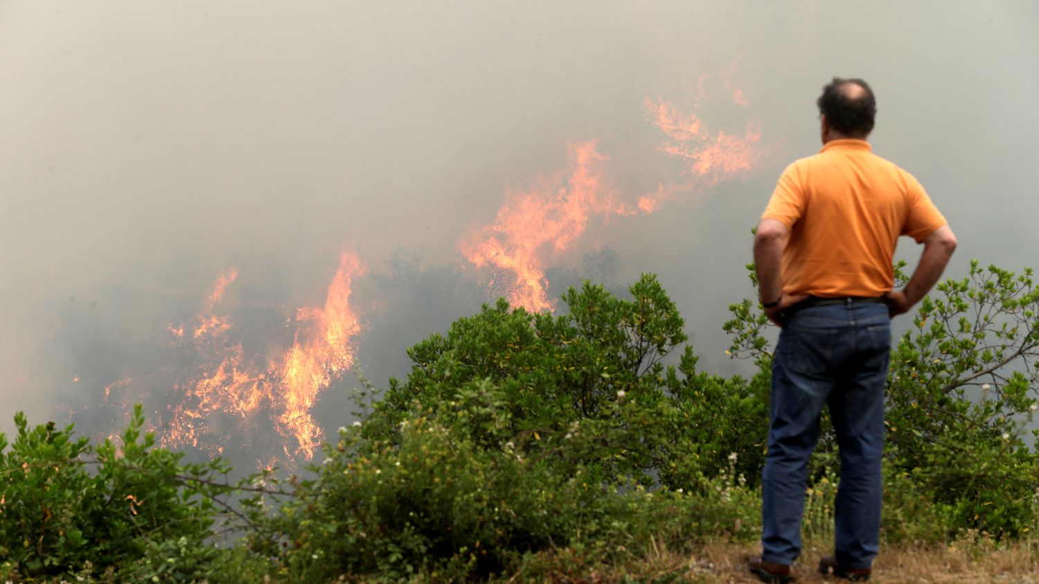 VIDEO. Incendies Au Portugal : Plus De 2 000 Pompiers Sont Engagés Dans ...