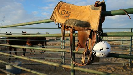 Si le dressage est l’une des activités carcérales la mieux payée, elle permet aussi aux prisonniers de sortir des murs, d’acquérir de nouvelles compétences et de se remettre en question. (Mike Blake / Reuters)