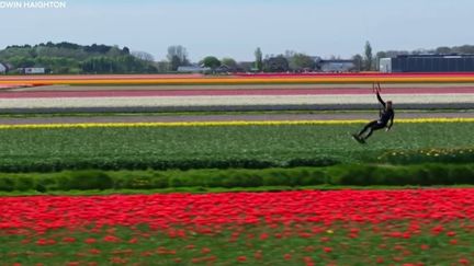 Le monde en images : du surf dans les tulipes, un combat de MMA avec un alligator, Tom Cruise à Paris… L'actu de la semaine