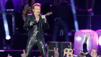 Johnny Hallyday le 23 juin 2013 à Namur, en Belgique.&nbsp; (BRUNO FAHY / BELGA MAG)