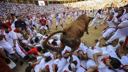 Espagne : les premiers lâchers de taureaux de la San Fermin font déjà de nombreux blessés encornés