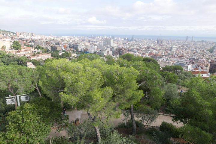 Barcelone vue depuis les hauteurs du parc Güell (Photo EMMANUEL LANGLOIS)