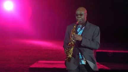 Le saxophoniste Manu Dibango en concert à Dakar (Sénégal) en 2010
 (SEYLLOU DIALLO / AFP)