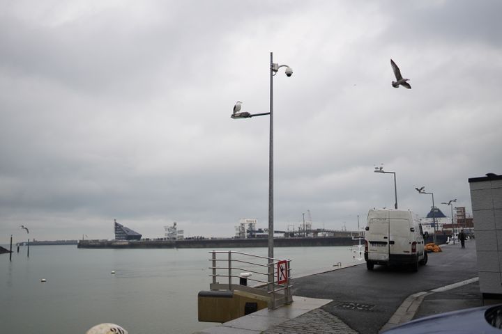 Sur le marché aux poissons de Calais, les goélands sont bien plus nombreux que les clients le matin du 9 décembre 2020. (PIERRE-LOUIS CARON / FRANCEINFO)