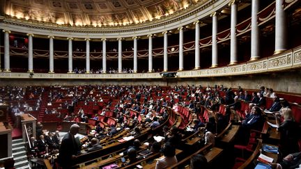 L'hémicycle de l'Assemblée nationale, à Paris, le 1er août 2017. (PHILIPPE LOPEZ / AFP)