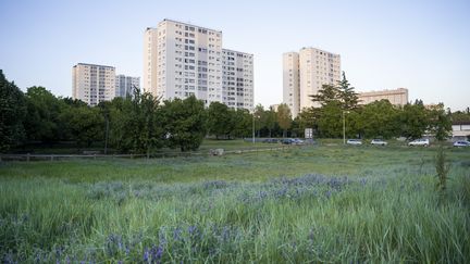 Le quartier des Minguettes, à Venissieux, le 28 mars 2022. (ANTOINE BOUREAU / AFP)