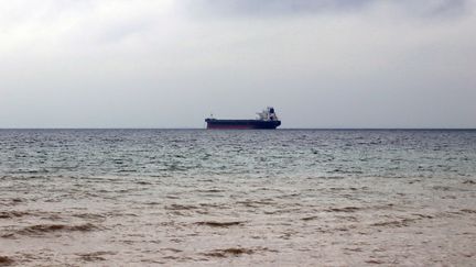 Le cargo panaméen Namura Queen, au large de la Turquie, le 28 février 2022. Le navire a été touché par un missile russe le 17 mars au près des côtes ukrainiennes de la mer Noire. (SITKI YILDIZ / ANADOLU AGENCY VIA AFP)