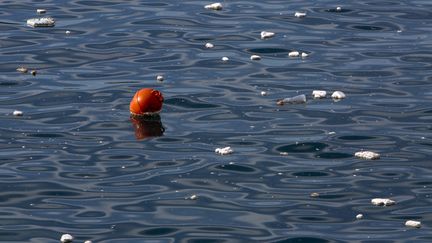 Environnement : la pollution au plastique est de plus en plus inquiétante