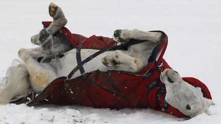 Un cheval se roule dans la neige &agrave; Henton (Royaume-Uni), le 5 f&eacute;vrier 2012. (EDDIE KEOGH / REUTERS)